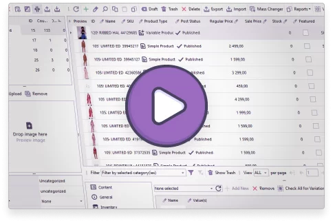Store Manager for WooCommerce Overview by eMagicOne
