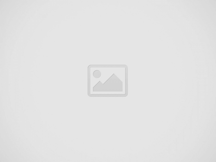 Mass Changer Tool in Store Manager for WooCommerce